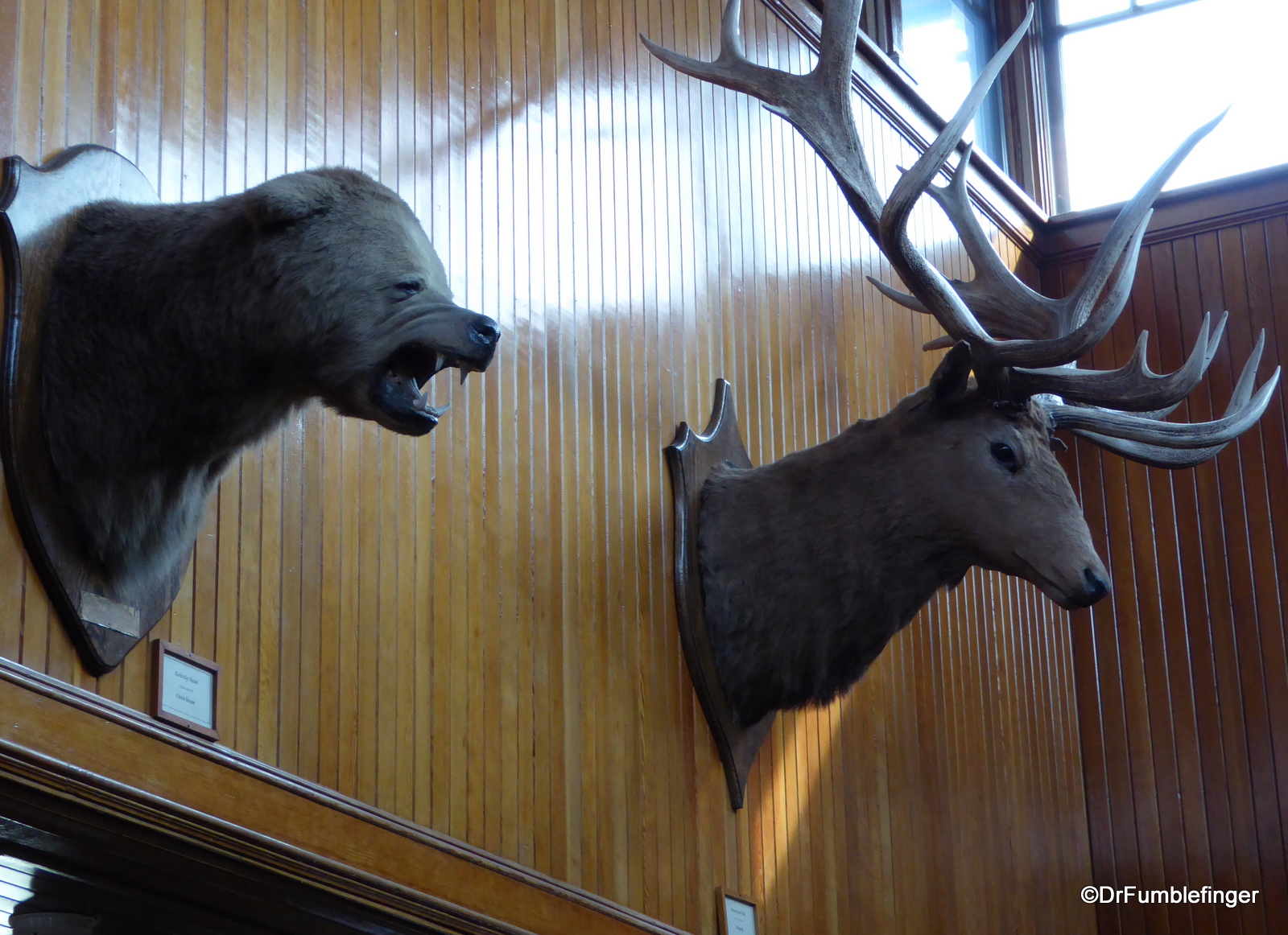 14 Banff Museum 08-2015 upstairs (31)