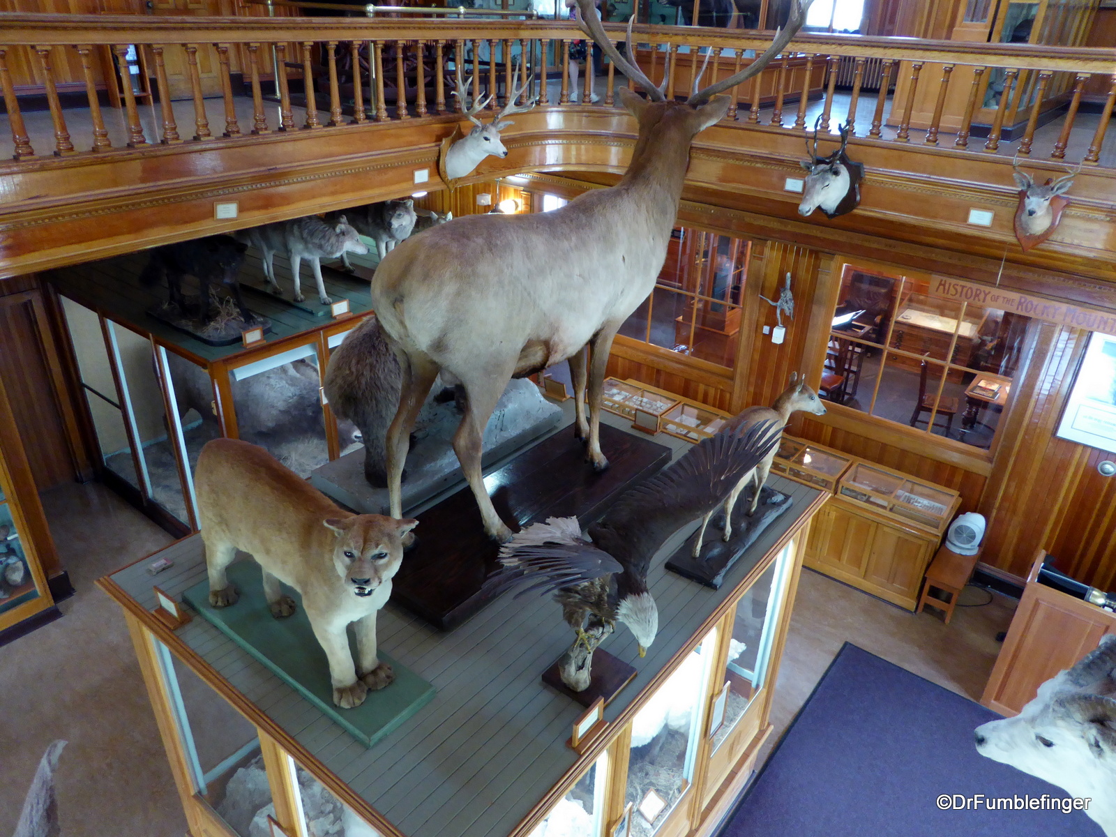 14 Banff Museum 08-2015 upstairs (4b)