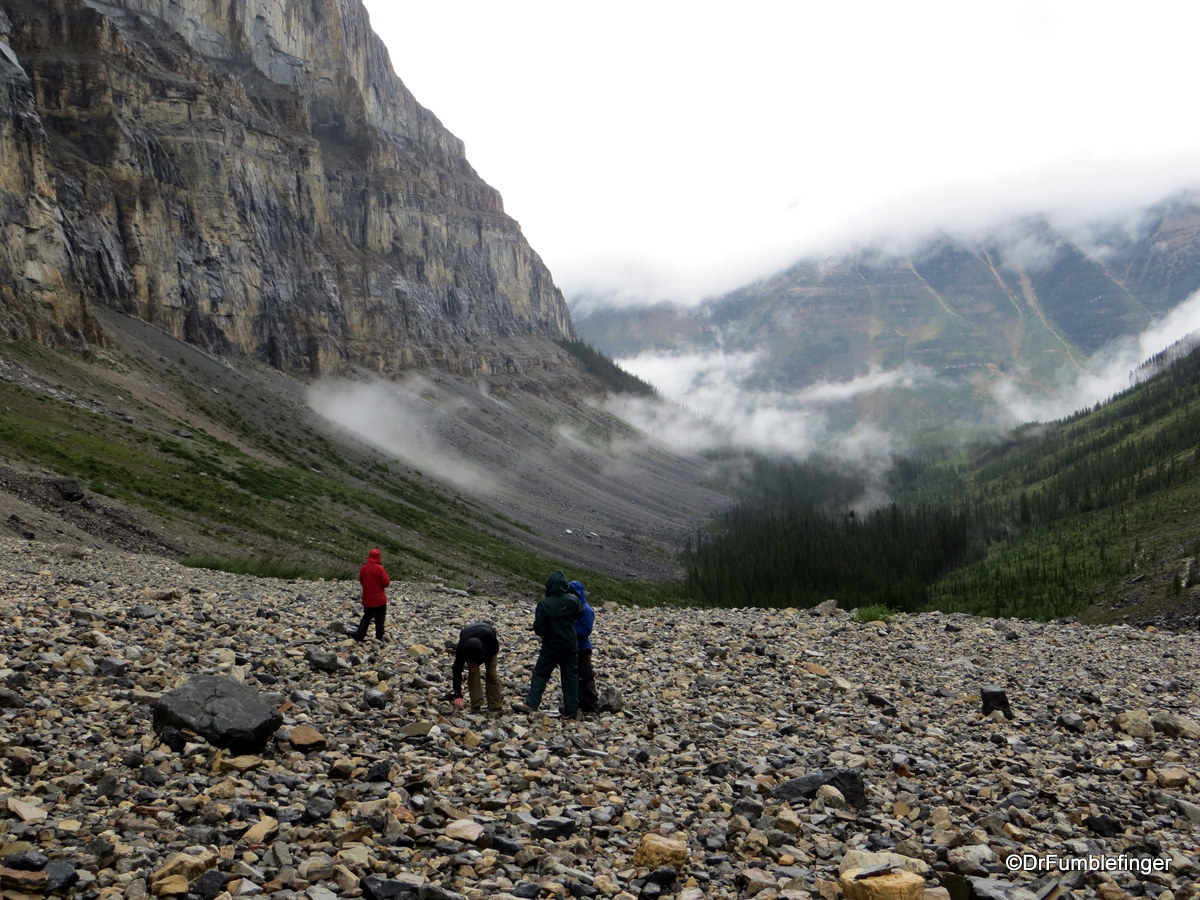 Looking for Burgess Shale fossils, Stanley Glacier, Kootenay National Park