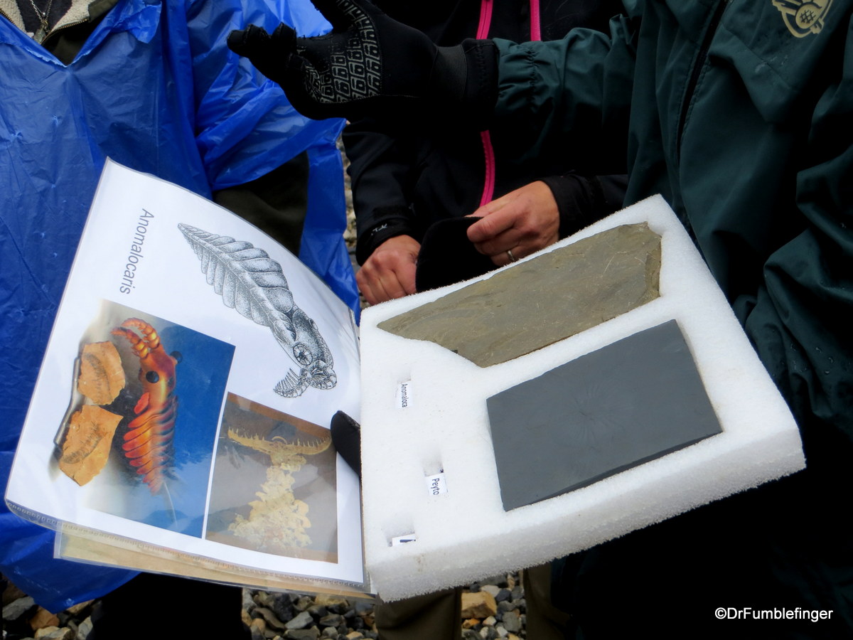Warden presents rare Burgess Shale fossils, Stanley Glacier, Kootenay National Park