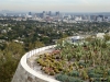 Cactus Garden and view of Century City from the Getty Center, Los Angeles