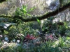 15 Leu Gardens, Orlando