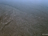 20 Nazca lines.