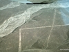 34 Nazca lines. Whale