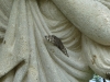 022 Niagara Butterfly Conservancy 7-2013