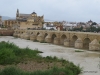 The Roman Bridge and Mezquita, the historic core of Córdoba