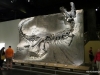 T-Rex specimen known as "Black Beauty", Royal Tyrrell Museum