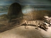 Dimetrodon, Royal Tyrrell Museum, Drumheller
