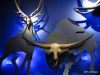 Extinct prehistoric bison, Royal Tyrrell Museum