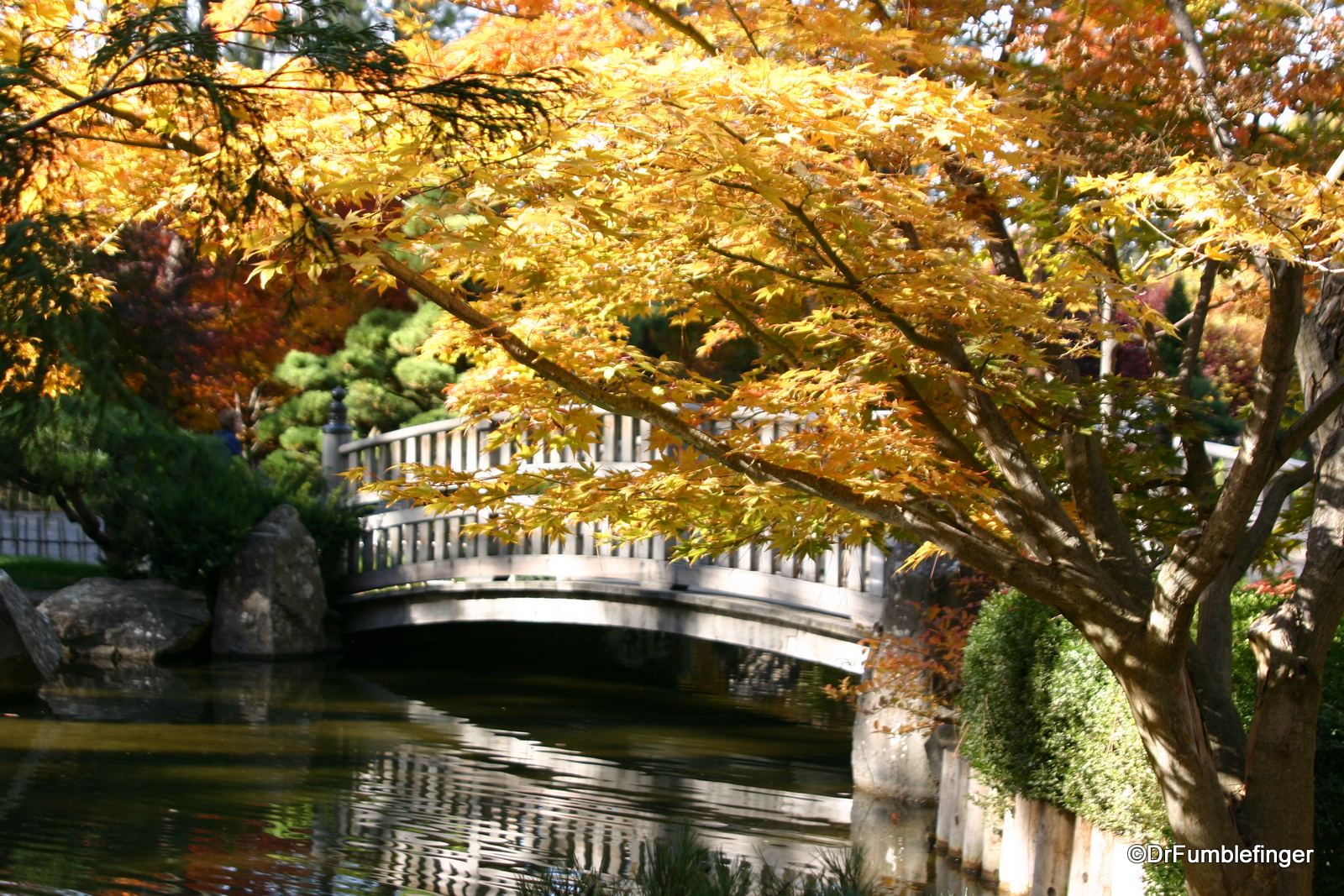 A Fall Visit To The Nishinomiya Tsutakawa Japanese Garden Spokane