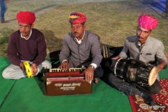 Musicans performing at Wedding in Jaipur