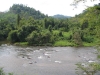 Kelaniya Ganga River -- Kitulgala