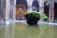 Fountain in the Cloister, Barcelona Cathedral