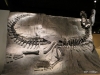 Black Beauty. An "in situ" Tyrannosaurs Rex skeleton