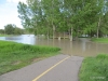Fish Creek Provincial Park & flooded Bow River