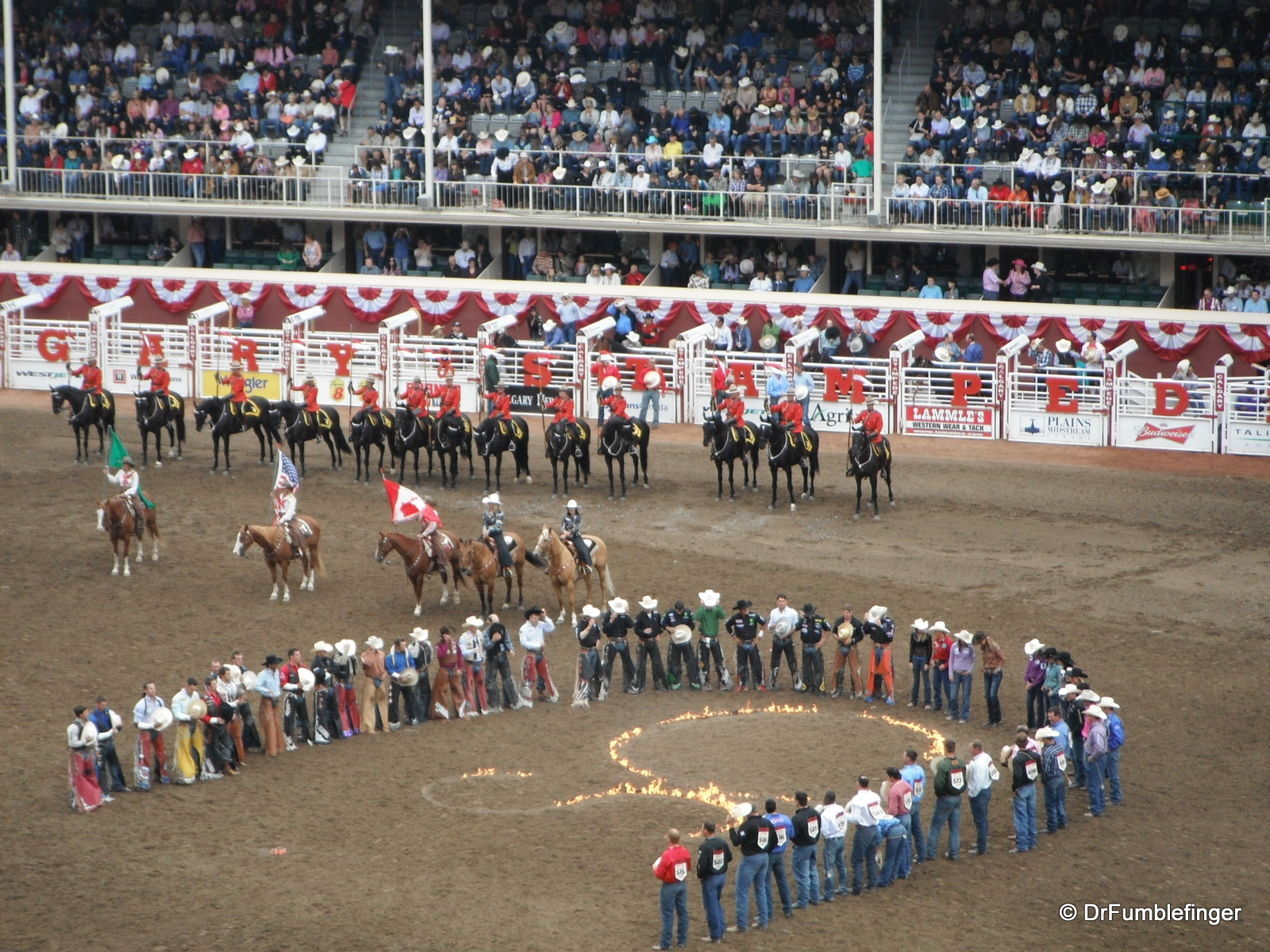 Calgary Stampede rodeo introduction