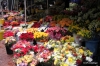 Flower Vendor, Cape Town