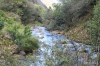 Iao Creek, Iao Valley State Park