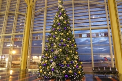 Christmas Tree, Reagan Airport