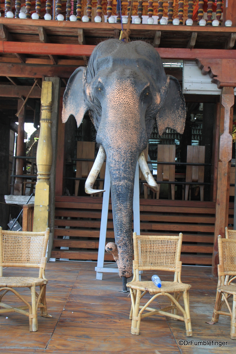 Taxidermy elephant, Gangaramaya Temple, Colombo