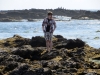 Tidepool hunting, Crystal Cove State Park