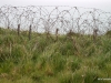 Old barb wire fence, Pointe-du-Hoc