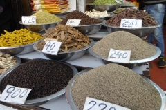 Delhi's Spice Market (Khari Baoli)