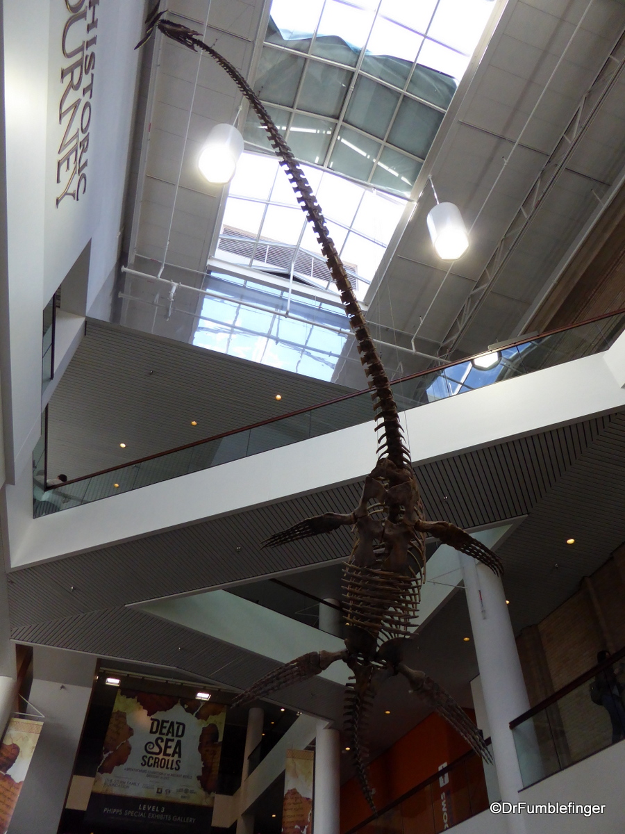 Aquatic Dinosaur at Denver Museum of Nature and Science
