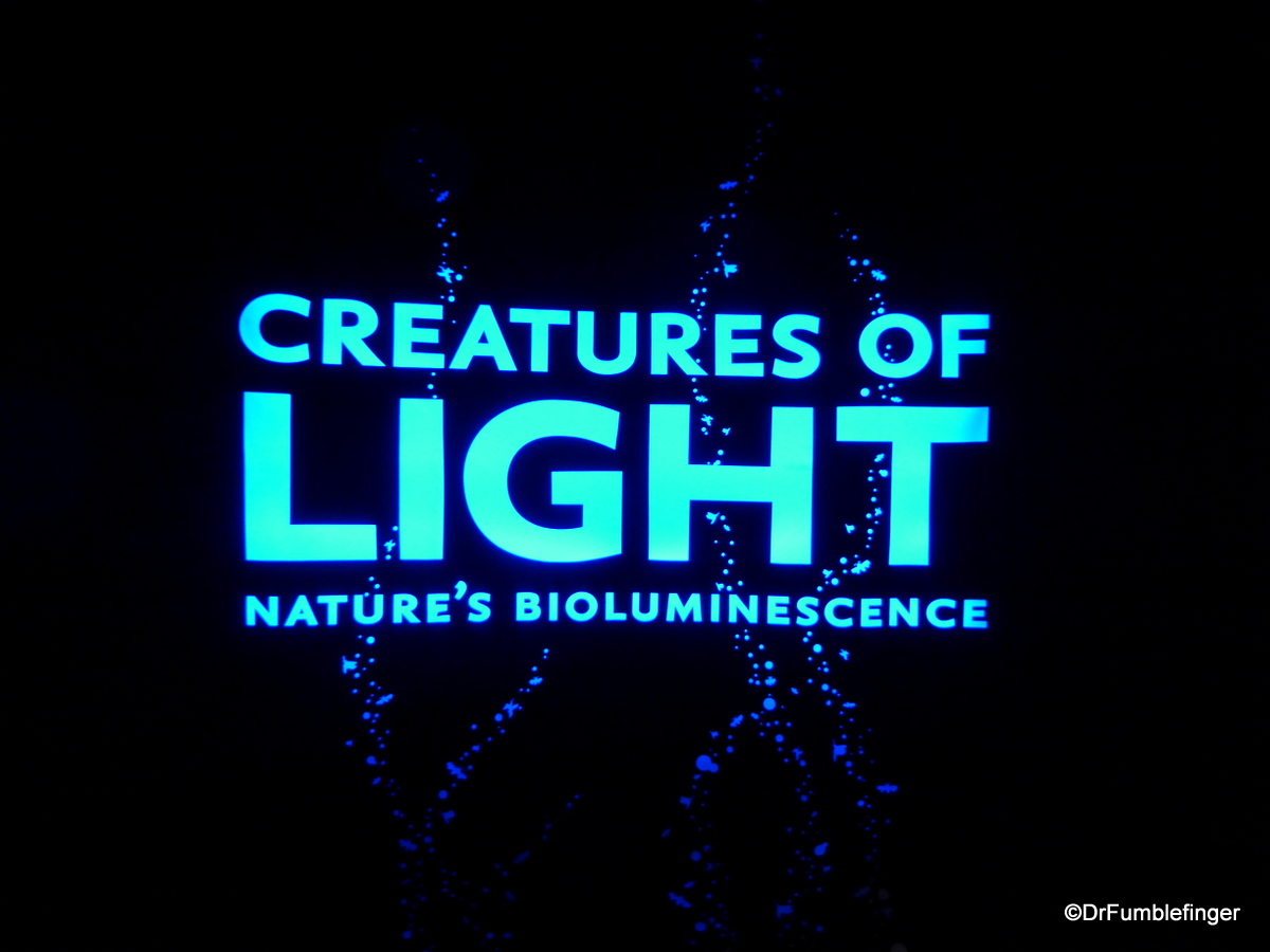 Creatures of Light, Denver Museum of Nature and Science