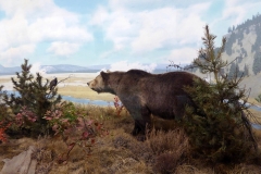 Grizzly Bear Diorama,  Denver Museum of Nature and Science