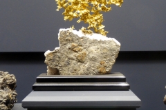 Gold, Denver Museum of Nature and Science