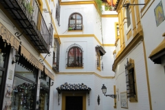An Evening walk in Barrio Santa Cruz, Seville