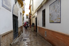 An Evening walk in Barrio Santa Cruz, Seville