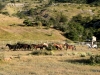 Gauchos at Roundup, Torres Del Paine