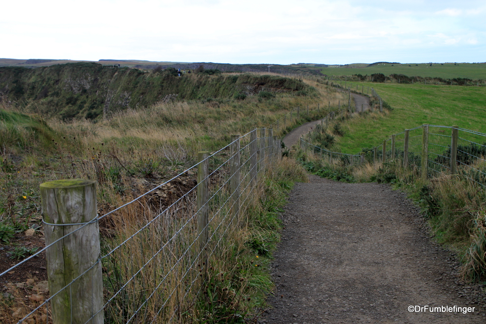 Path on the cliff's edge, Giant's Causeway