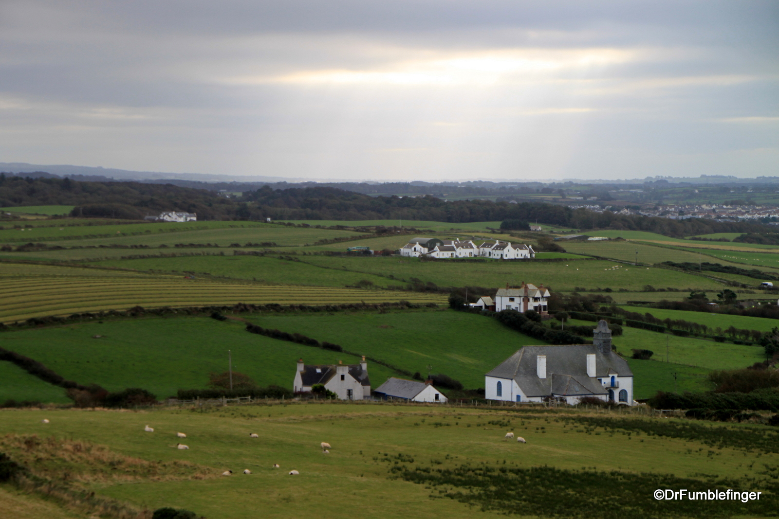 Pastoral farmland above the Giant's Causeway