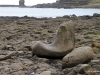 Giant's Shoe on the Giant's Causeway