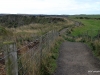 Path on the cliff's edge, Giant's Causeway