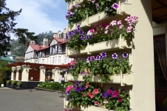 Gardens and the Front Entrance to the Grand Hotel, Nuwara Eliya