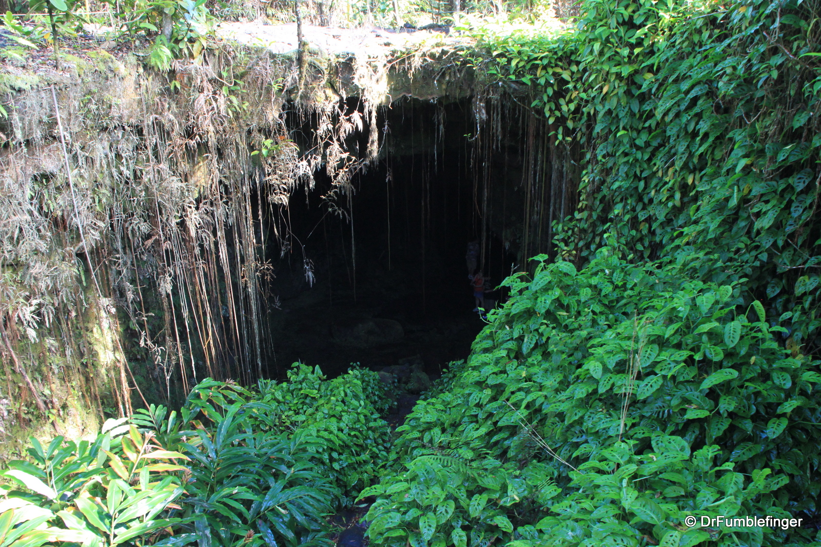 Entrance to Kaumana Cave