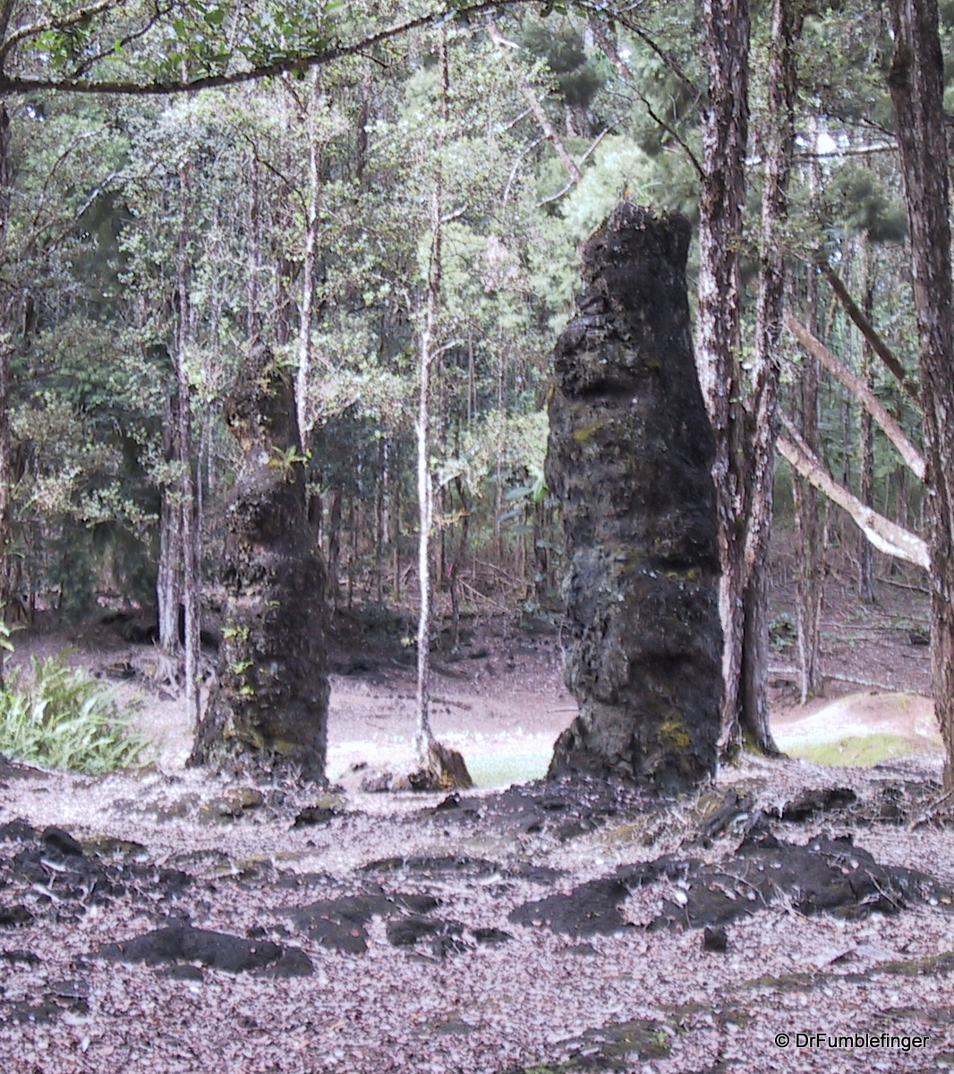 Lava Tree State Park
