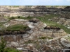 Horseshoe Canyon, viewed from the Canyon Rim
