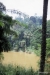 Kandy -- Peradeniya Botanical Gardens