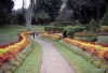 Kandy -- Peradeniya Botanical Gardens