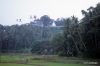 Ancient Buddhist Temple near Kandy
