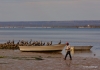 Fisherman & pelicans, La Paz' harbor