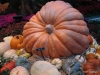 Halloween & Thanksgiving Exhibit, Bellagio Conservatory