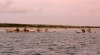 Kayaking near our camp, Magdalena Bay