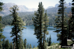 Mammoth Lakes Basin, California