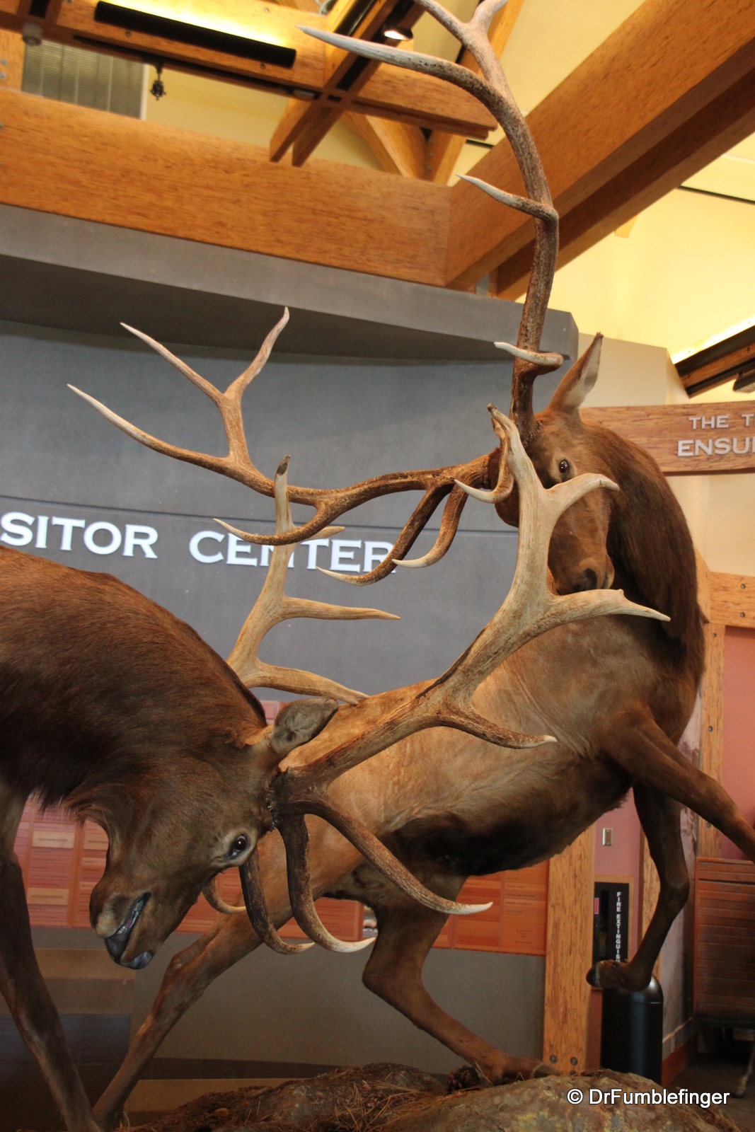 Elk Country Visitor Center